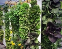 photo of vertical channel growing module (Bright Agrotech).