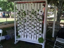 vertical hydroponic channels in frame with about 64 positions.