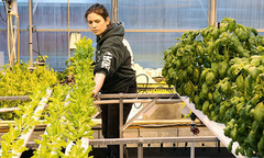 woman tending various plants in perforated tubes watering by gravity flow